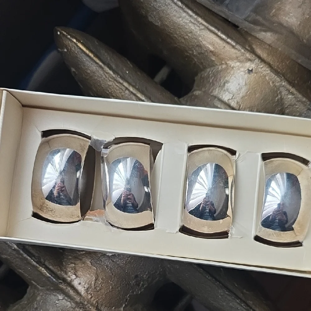 Pier 1 Silver Napkin Rings Set